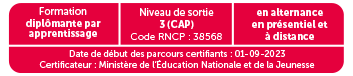 CAP RICS