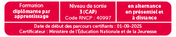 CAP Maintenance des véhicules